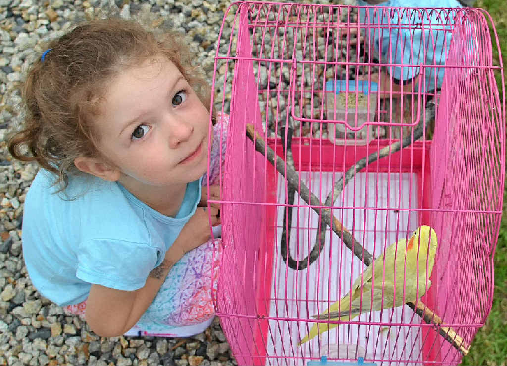 ROUGH WEEK: Isabelle Cadman with her new friend Tweetsy, a happy end to a bad week. ROUGH WEEK: Isabelle Cadman with her new friend Tweetsy, a happy end to a bad week.